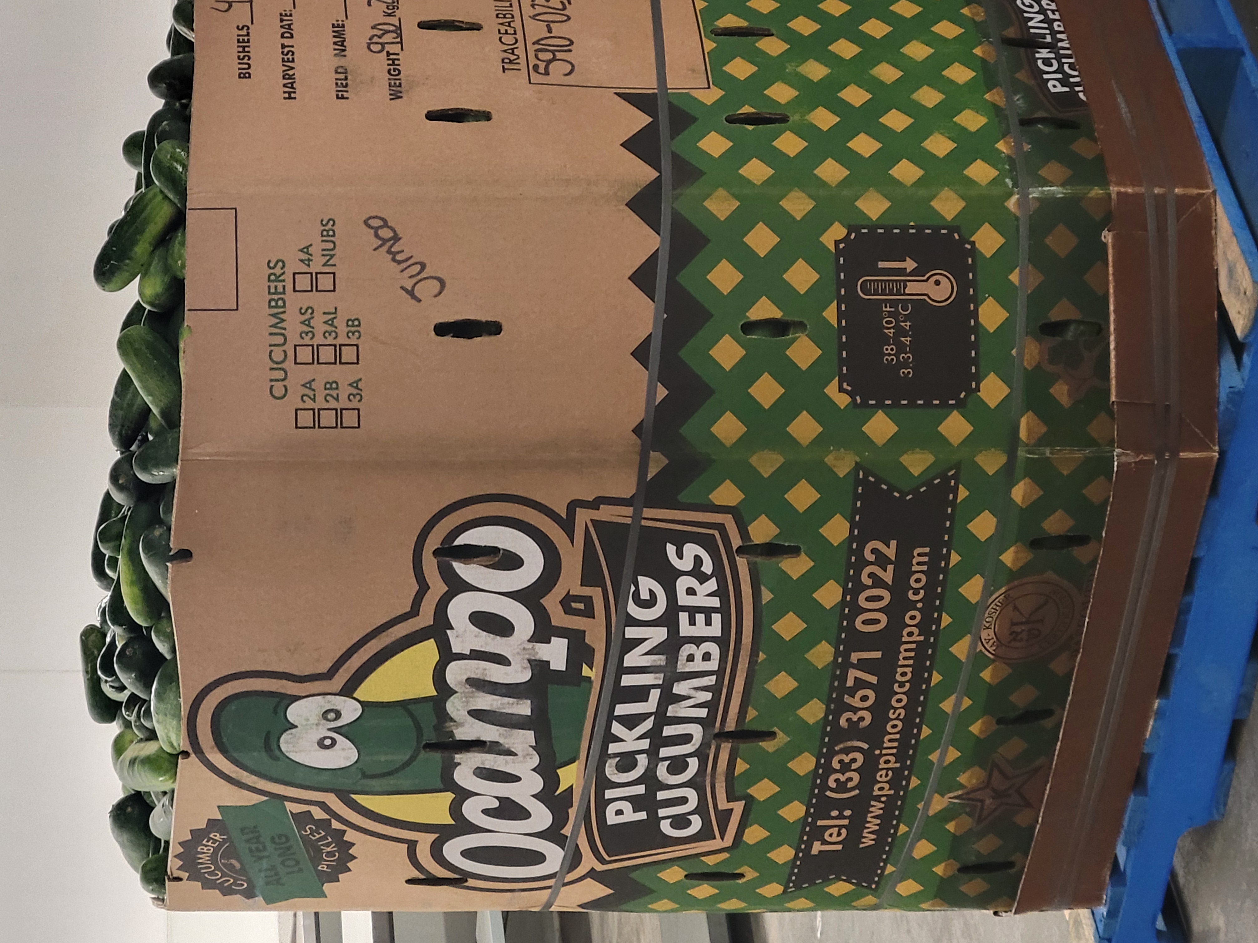 Container listing pickling cucumbers, the company's number, the size, and the weight with cucumbers filled to the top.